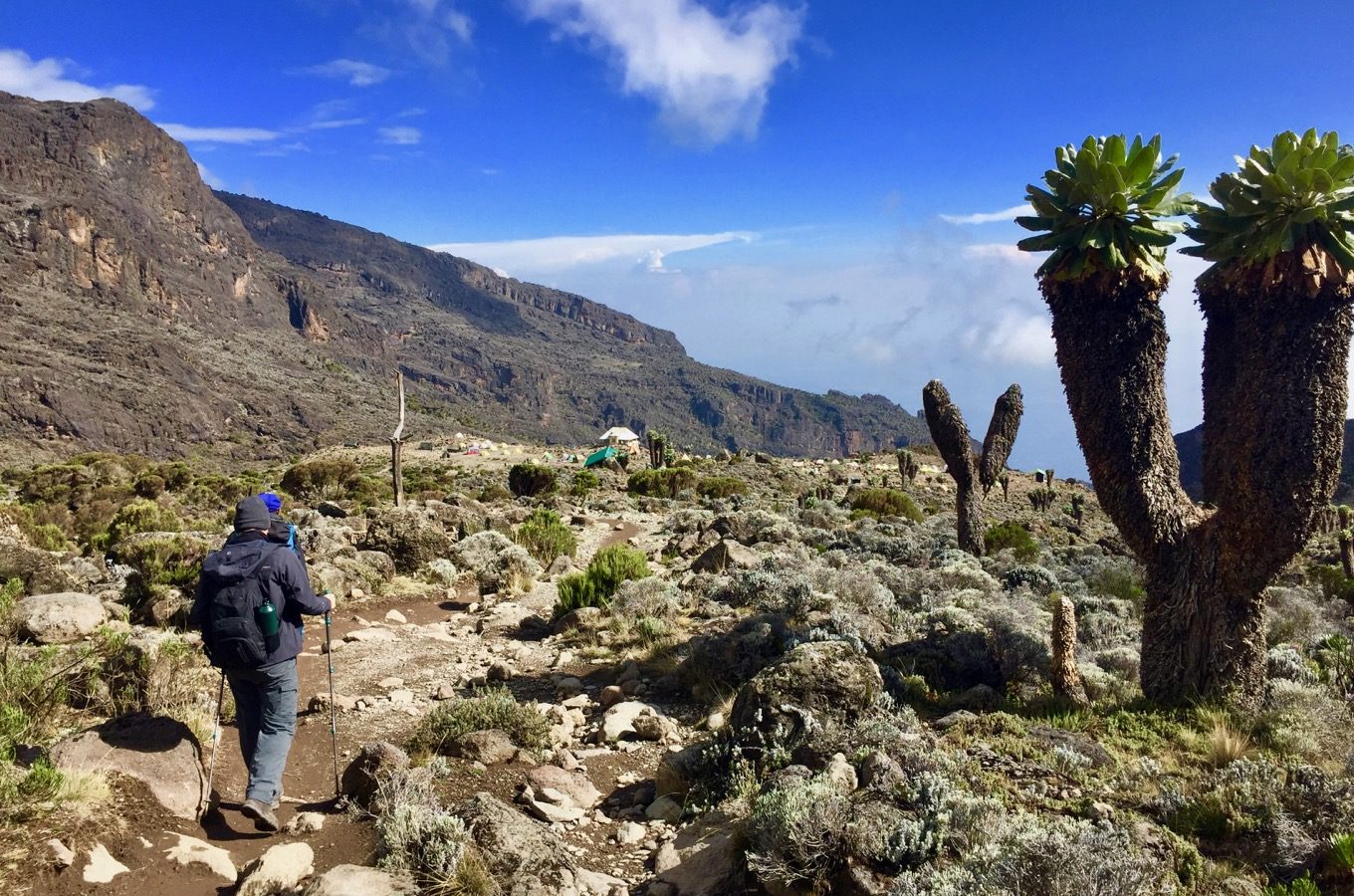 kokopelli-bungalows-zanzibar-safaris-machame-route-1 kokopelli-bungalows-zanzibar-safaris-machame-route-1